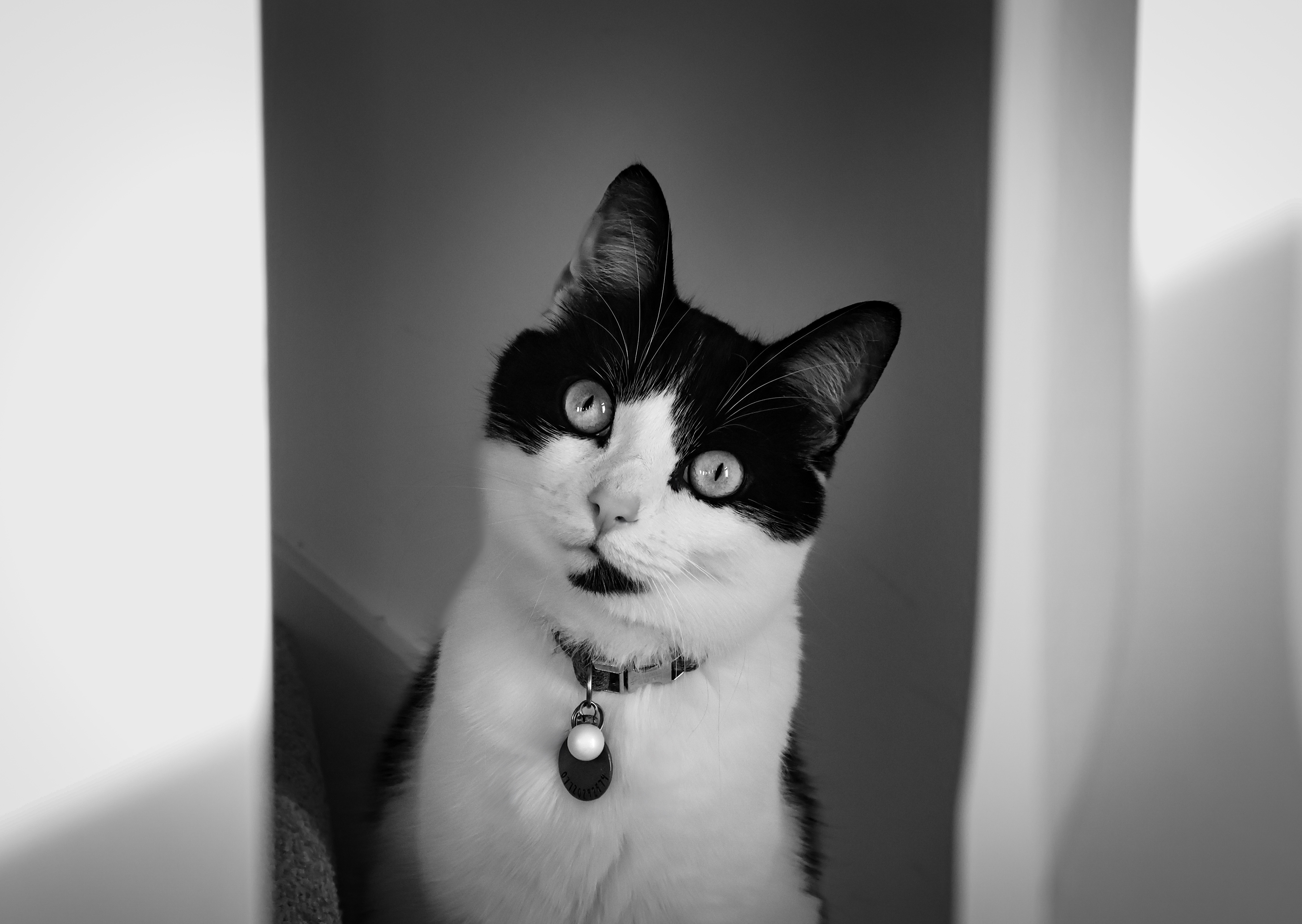 Portrait Photography