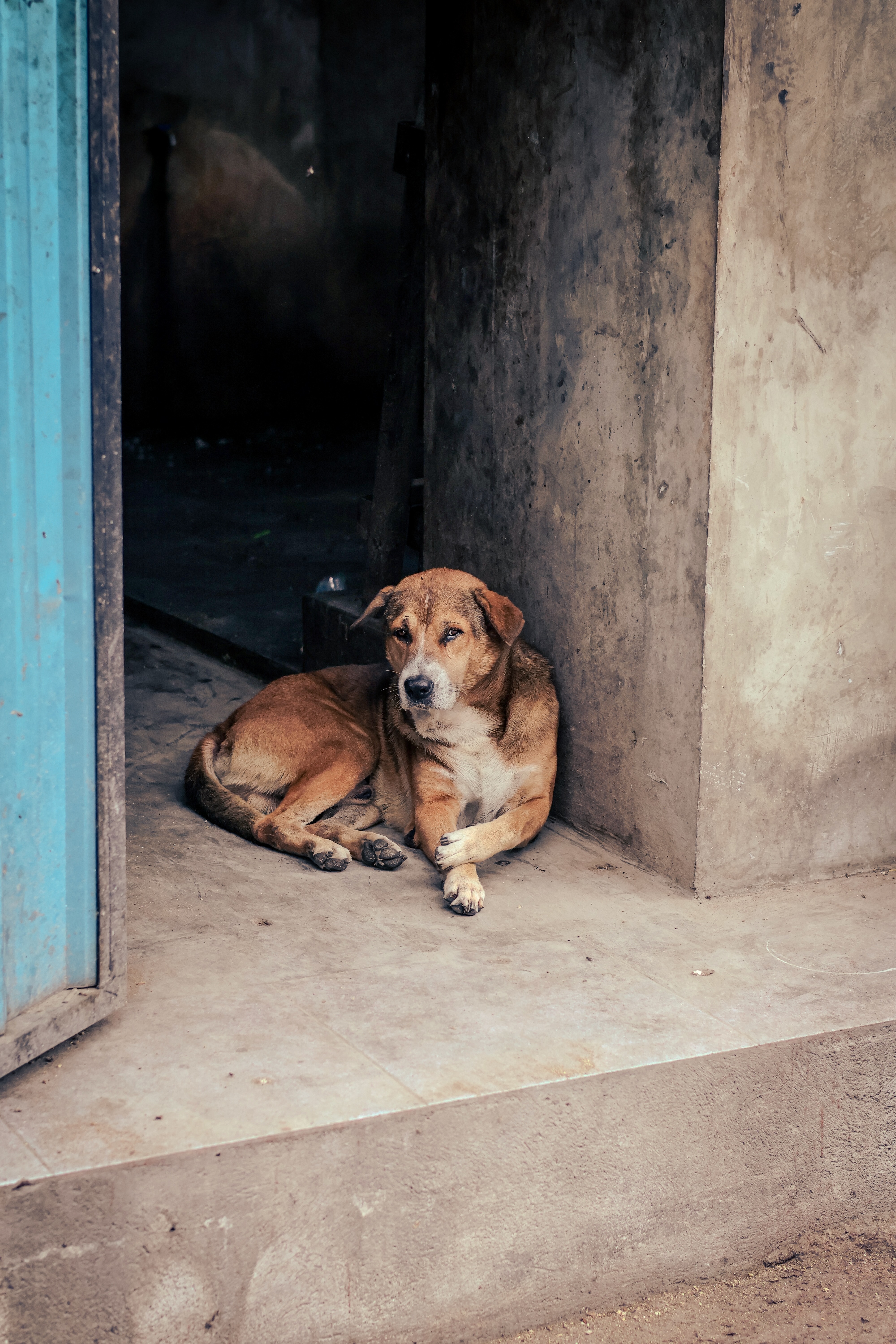 Portrait Photography